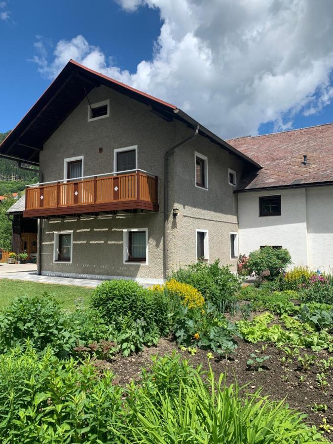 Fewo Luettich Etmissl Exteriör bild