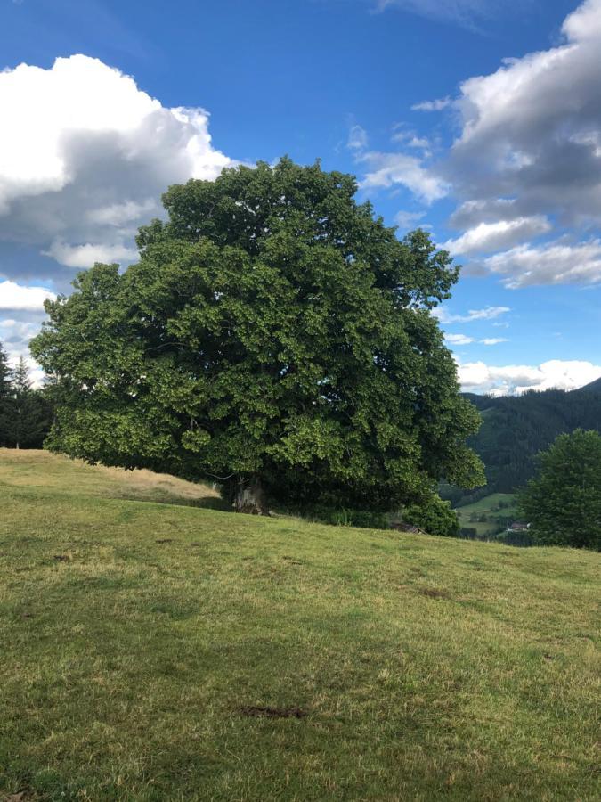 Fewo Luettich Etmissl Exteriör bild
